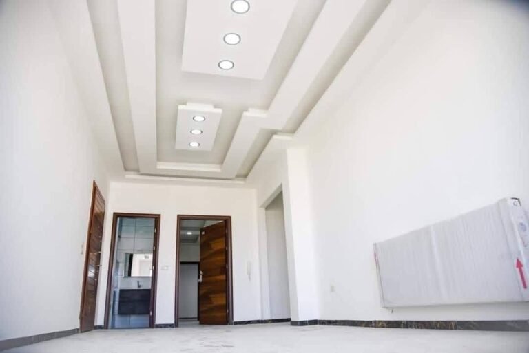 WhatsApp Image 2026-03-23 at 11.30.56 PM (3)