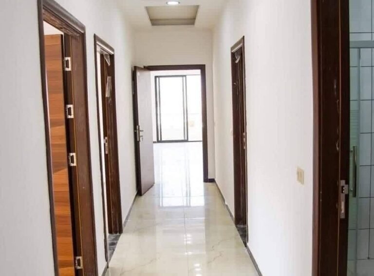 WhatsApp Image 2026-03-23 at 11.30.56 PM